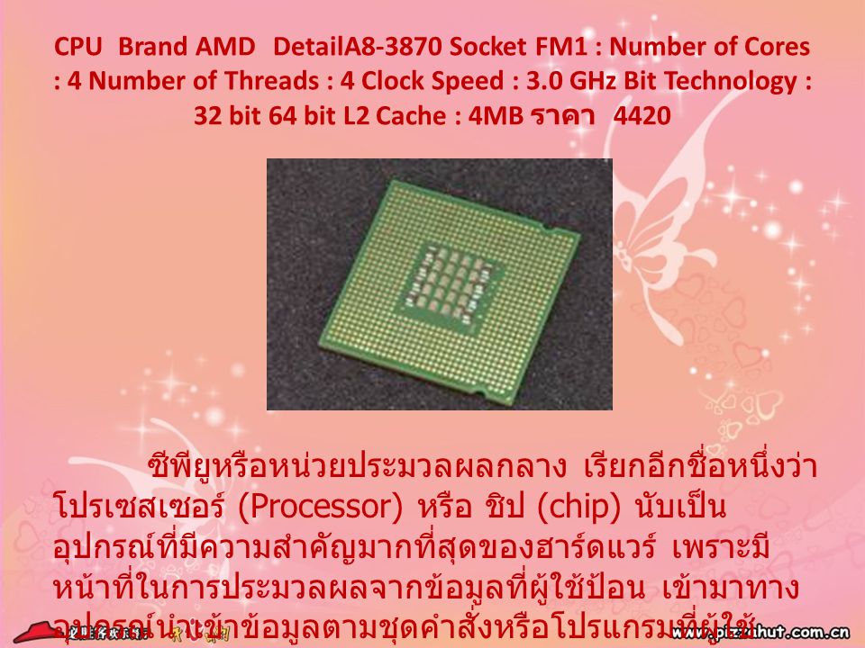CPU Brand AMD DetailA Socket FM1 : Number of Cores : 4 Number of Threads : 4 Clock Speed : 3.0 GHz Bit Technology : 32 bit 64 bit L2 Cache : 4MB ราคา 4420