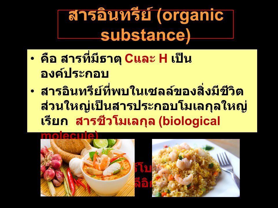 สารอินทรีย์ (organic substance)