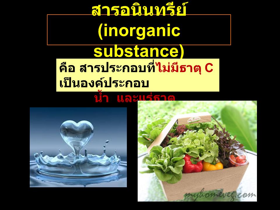 สารอนินทรีย์ (inorganic substance)