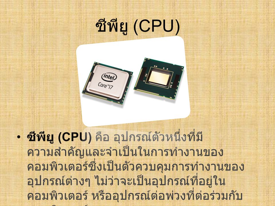 ซีพียู (CPU)