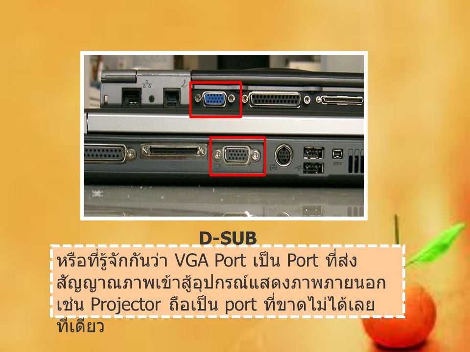 D-SUB หรือที่รู้จักกันว่า VGA Port เป็น Port ที่ส่งสัญญาณภาพเข้าสู้อุปกรณ์แสดงภาพภายนอก เช่น Projector ถือเป็น port ที่ขาดไม่ได้เลยทีเดียว.