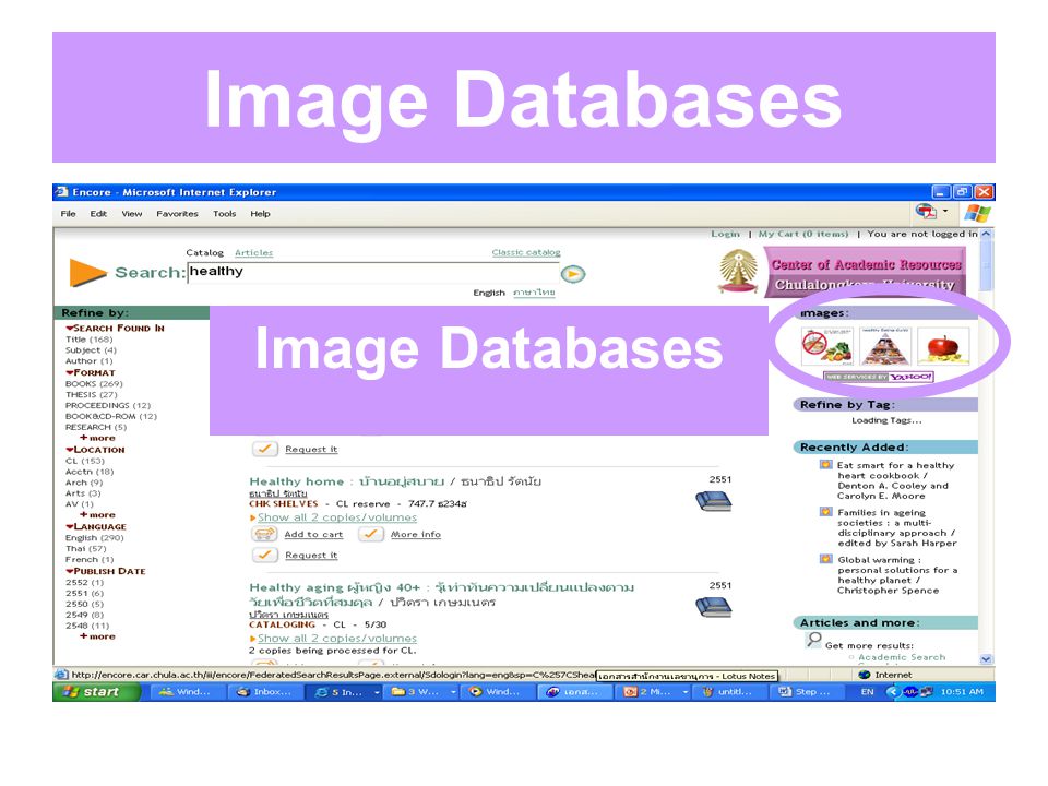 Image Databases Image Databases