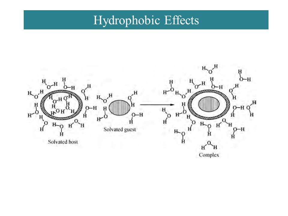 Hydrophobic Effects