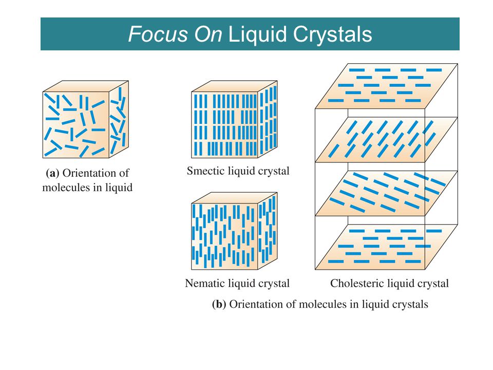 Focus On Liquid Crystals
