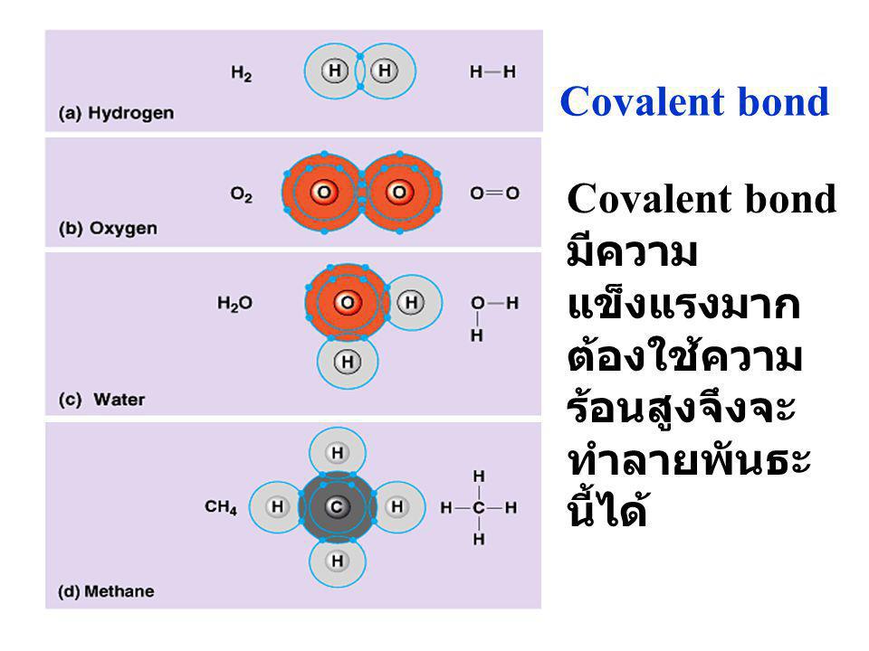 Covalent bond Covalent bond มีความแข็งแรงมาก ต้องใช้ความร้อนสูงจึงจะทำลายพันธะนี้ได้
