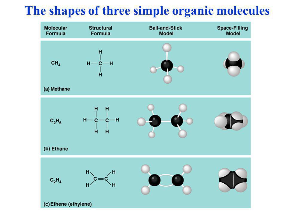 The shapes of three simple organic molecules