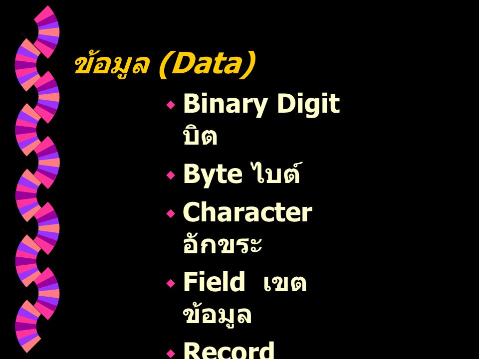 ข้อมูล (Data) Binary Digit บิต Byte ไบต์ Character อักขระ
