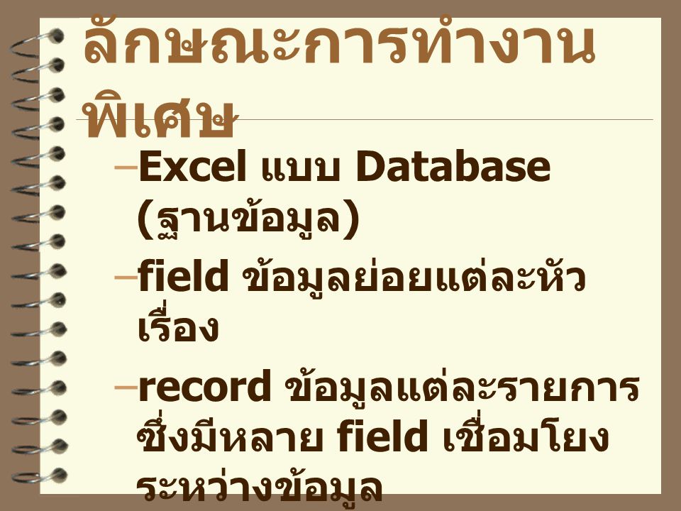 ลักษณะการทำงานพิเศษ Excel แบบ Database (ฐานข้อมูล)