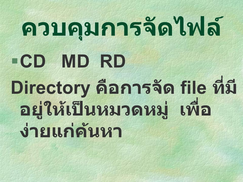 ควบคุมการจัดไฟล์ CD MD RD
