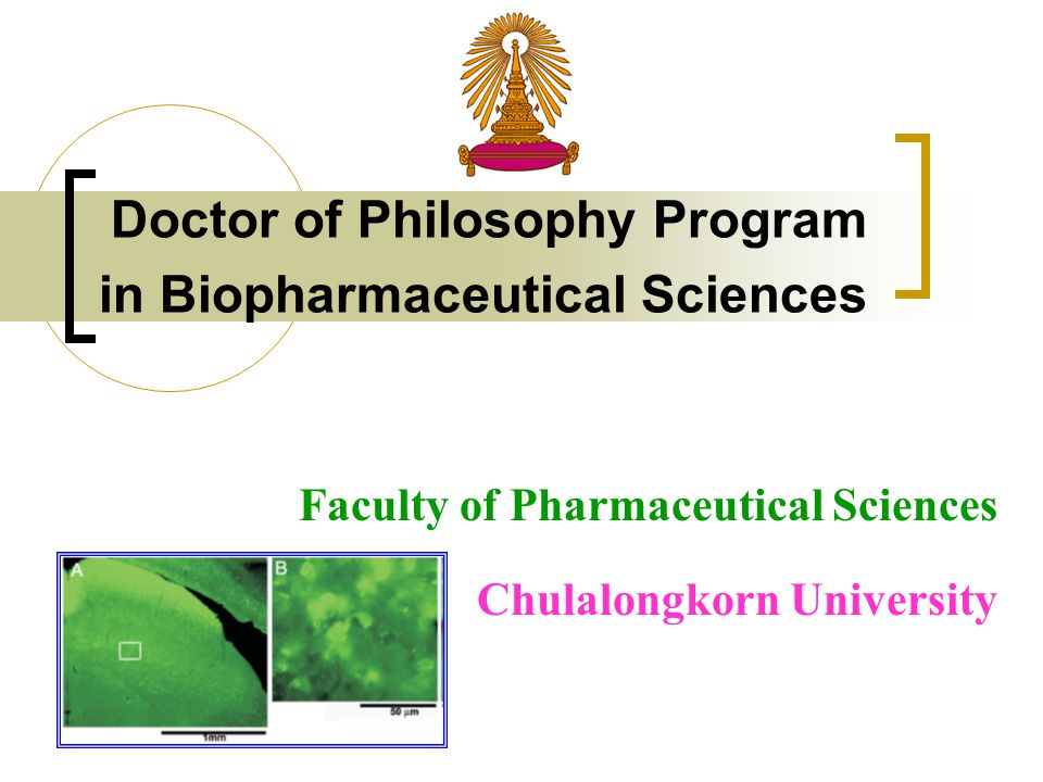 Doctor of Philosophy Program in Biopharmaceutical Sciences