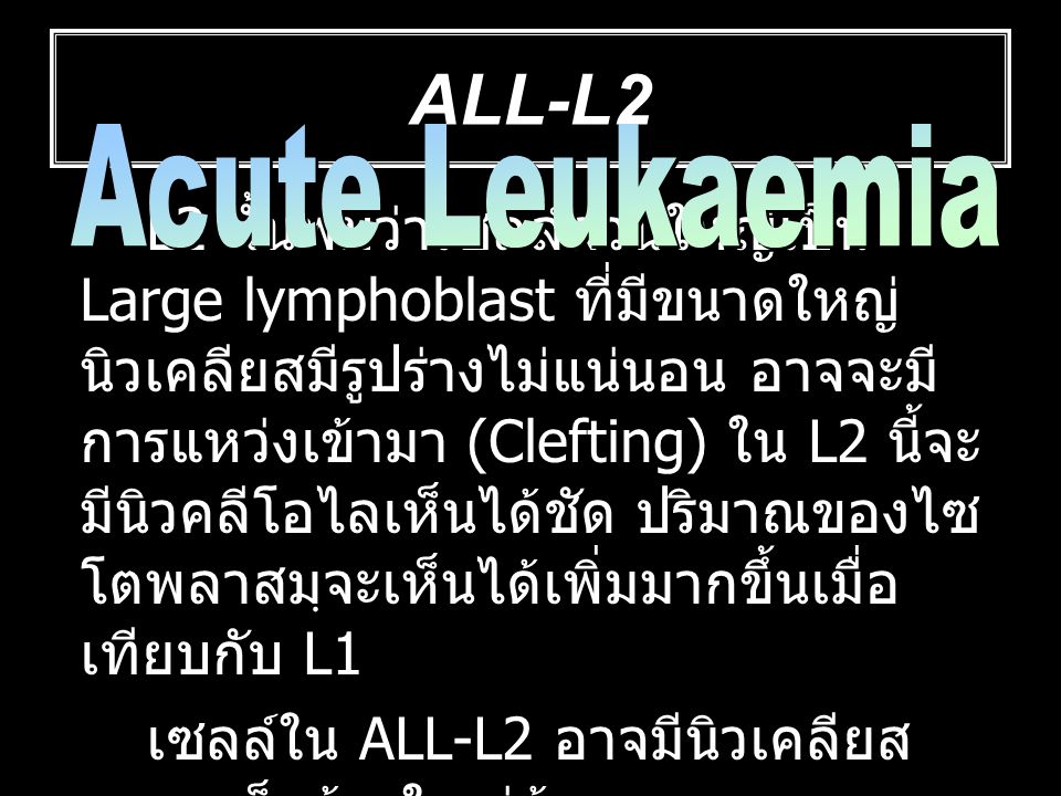 ALL-L2 ALL-L2. Acute Leukaemia.