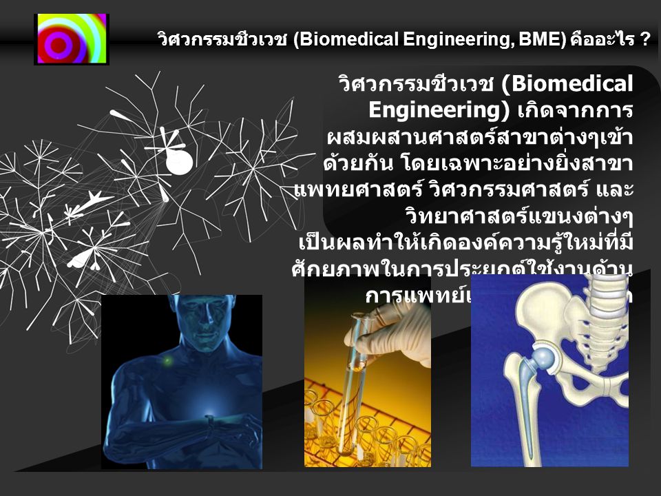 วิศวกรรมชีวเวช (Biomedical Engineering, BME) คืออะไร