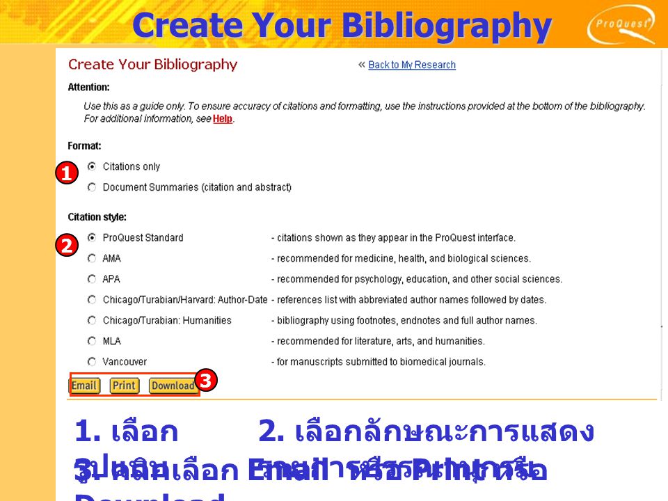 Create Your Bibliography