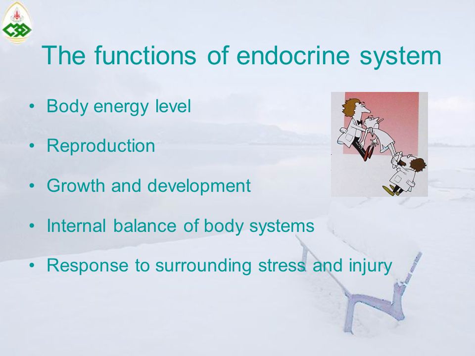 The functions of endocrine system