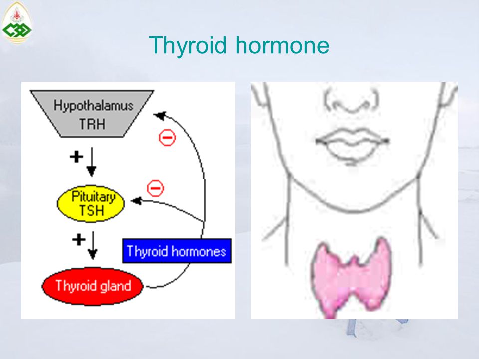 Thyroid hormone