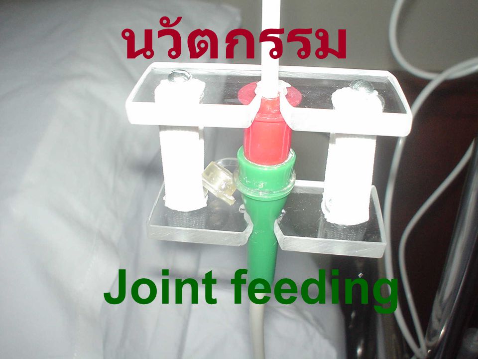 นวัตกรรม Joint feeding