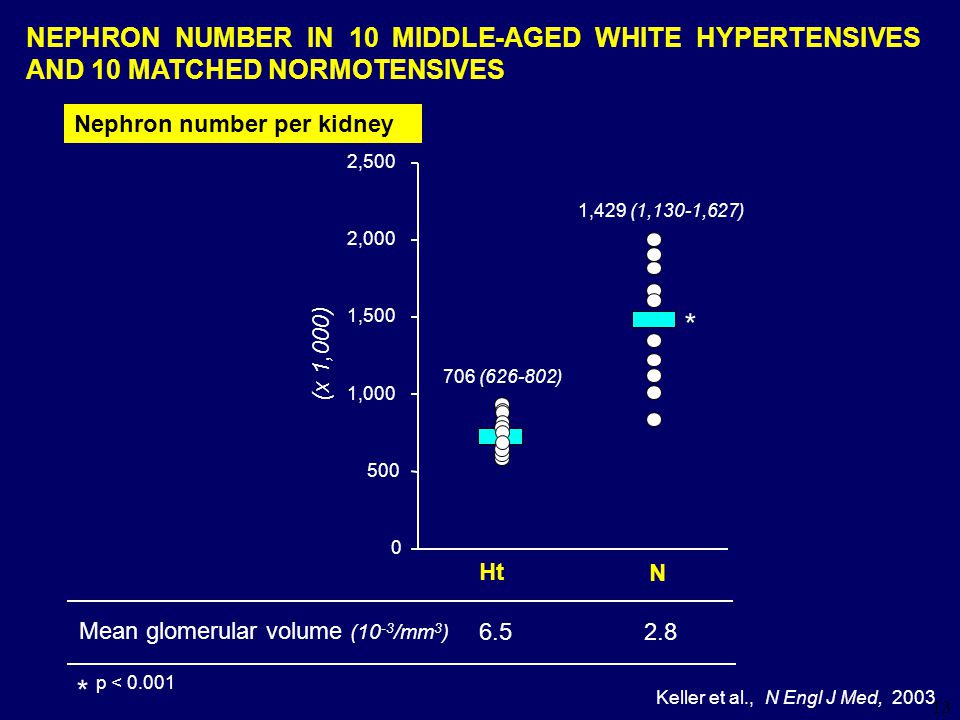 NEPHRON NUMBER IN 10 MIDDLE-AGED WHITE HYPERTENSIVES AND 10 MATCHED NORMOTENSIVES