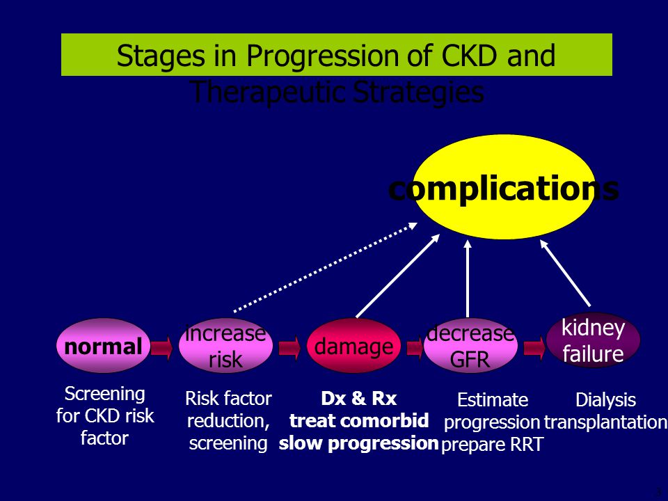 Stages in Progression of CKD and Therapeutic Strategies