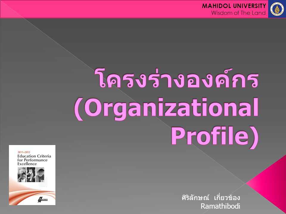 โครงร่างองค์กร (Organizational Profile)