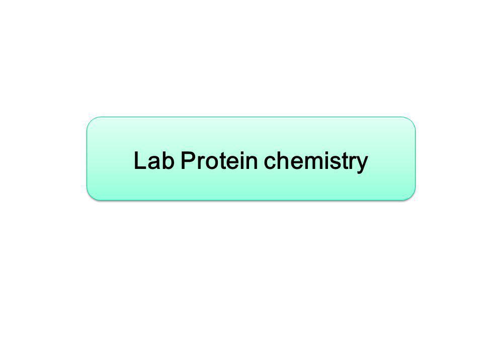 Lab Protein chemistry