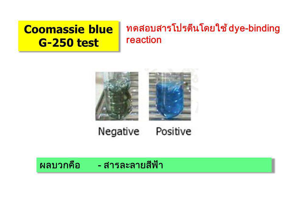 Coomassie blue G-250 test ทดสอบสารโปรตีนโดยใช้ dye-binding reaction