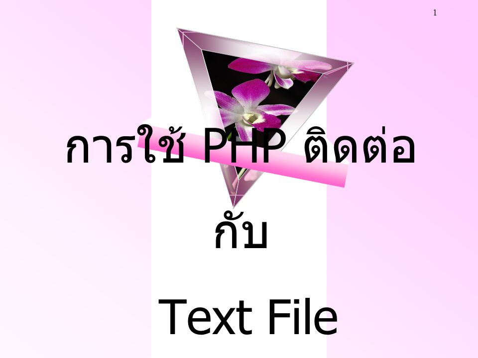 การใช้ PHP ติดต่อกับ Text File