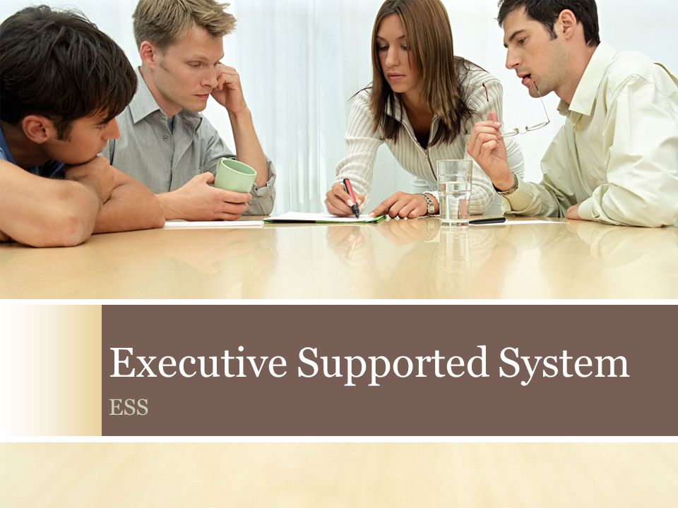 Executive Supported System