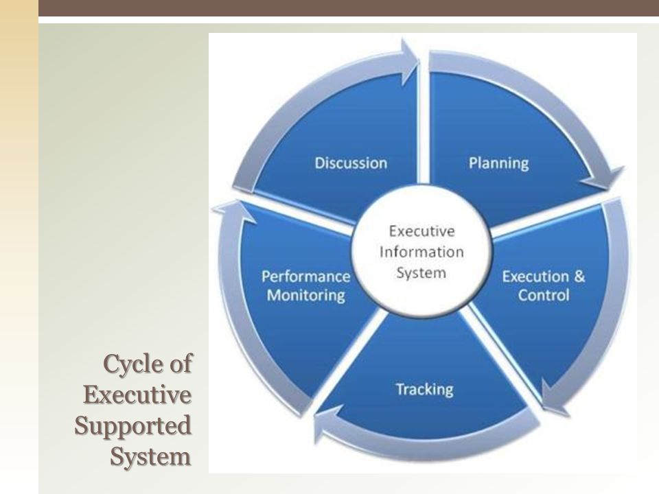 Cycle of Executive Supported System