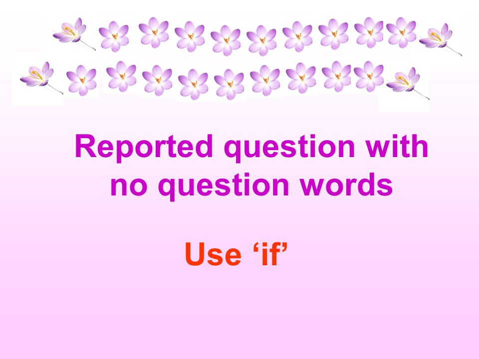 Reported question with no question words