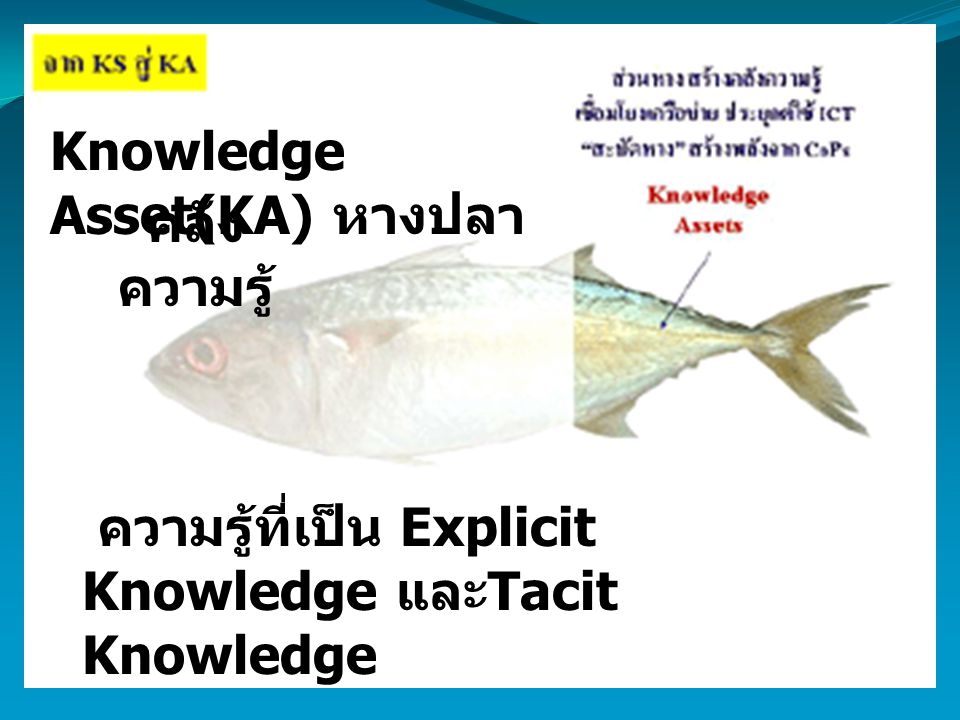 Knowledge Asset(KA) หางปลา
