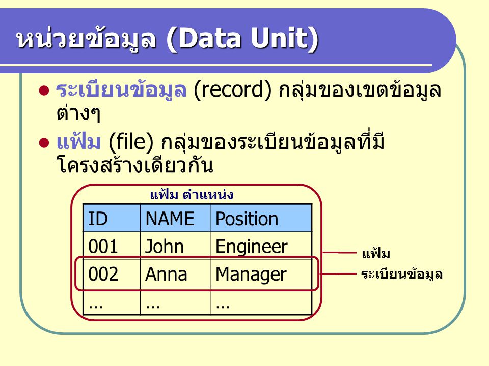 หน่วยข้อมูล (Data Unit)