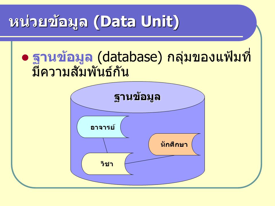 หน่วยข้อมูล (Data Unit)