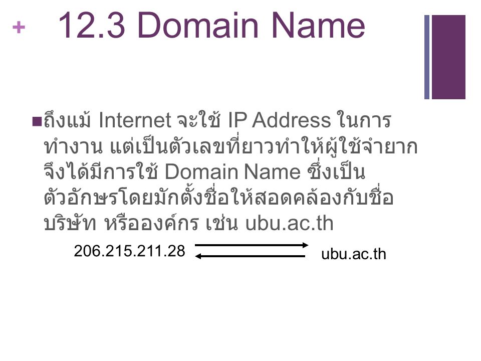 12.3 Domain Name