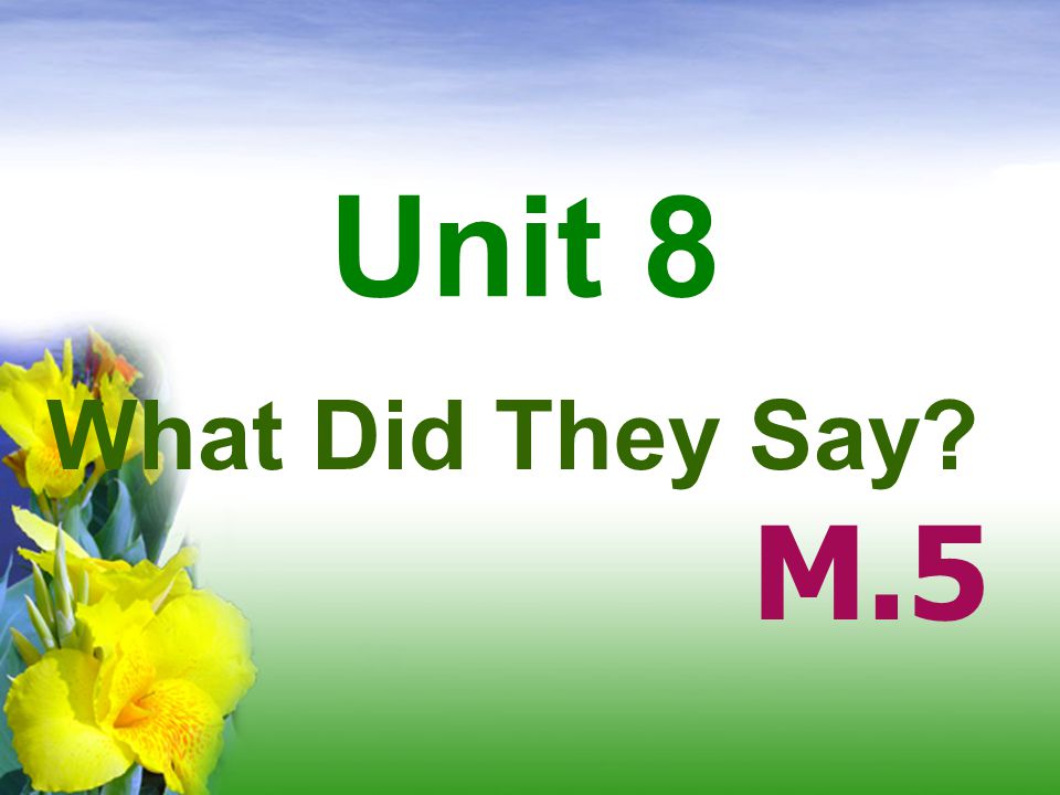 Unit 8 What Did They Say M.5