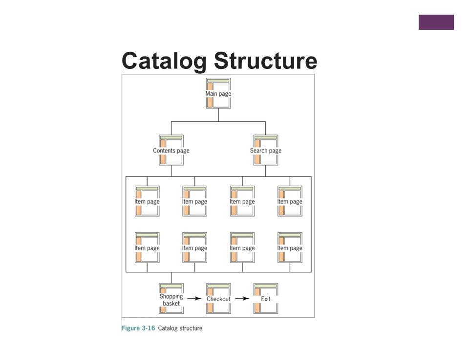Catalog Structure