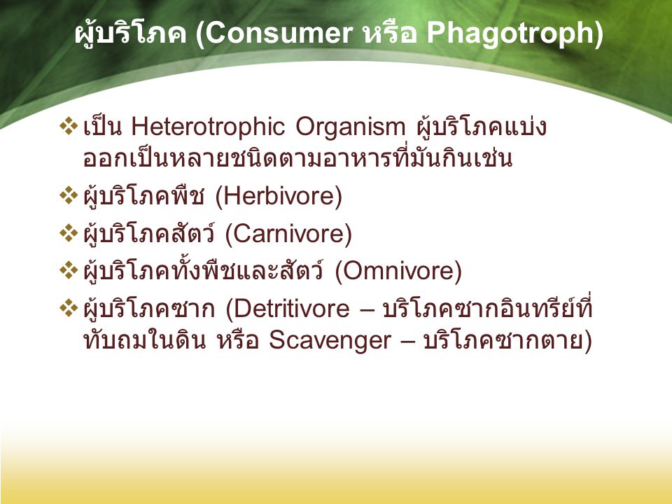 ผู้บริโภค (Consumer หรือ Phagotroph)