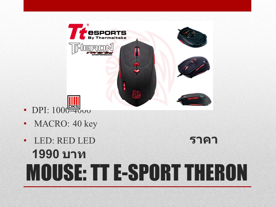 MOUSE: TT E-SPORT THERON
