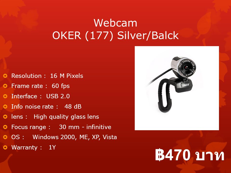 Webcam OKER (177) Silver/Balck