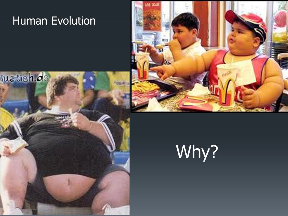 Human Evolution Why