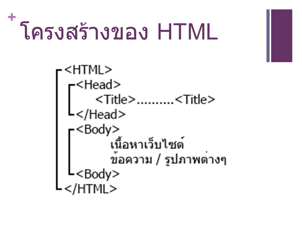 โครงสร้างของ HTML
