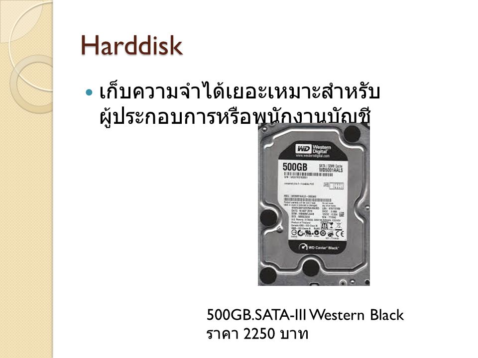 Harddisk เก็บความจำได้เยอะเหมาะสำหรับผู้ประกอบการหรือพนักงาน บัญชี