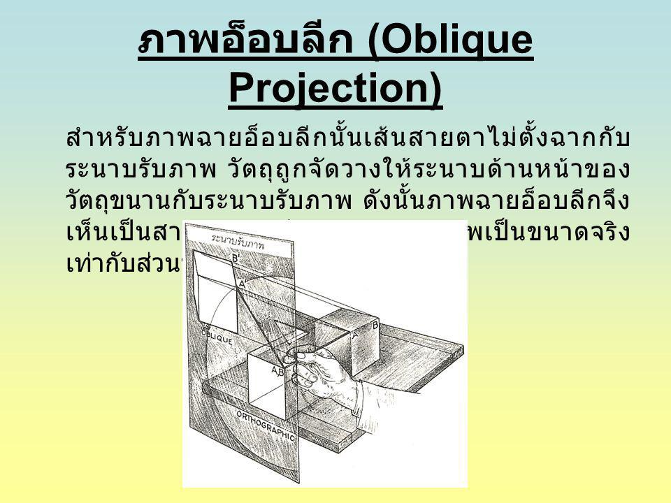 ภาพอ็อบลีก (Oblique Projection)