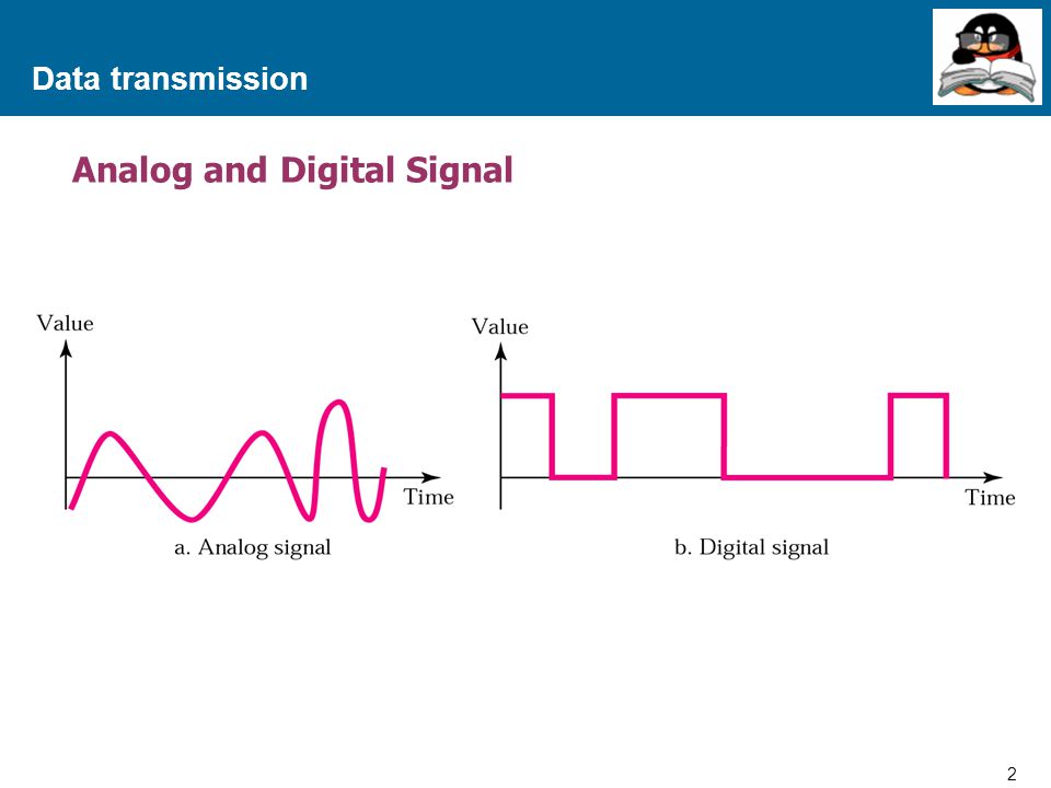 Analog and Digital Signal