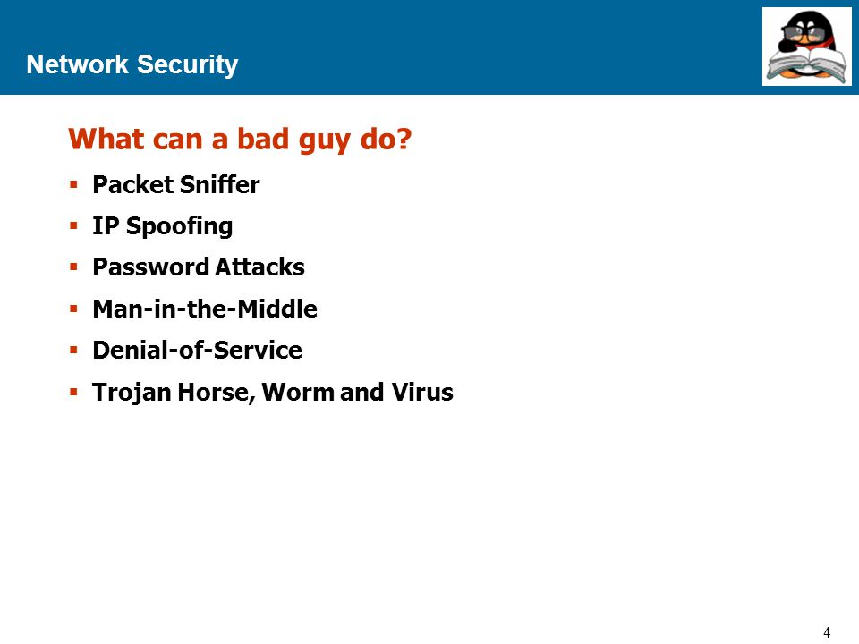 What can a bad guy do Network Security Packet Sniffer IP Spoofing