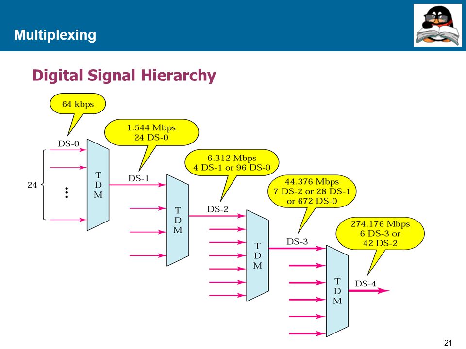 Digital Signal Hierarchy