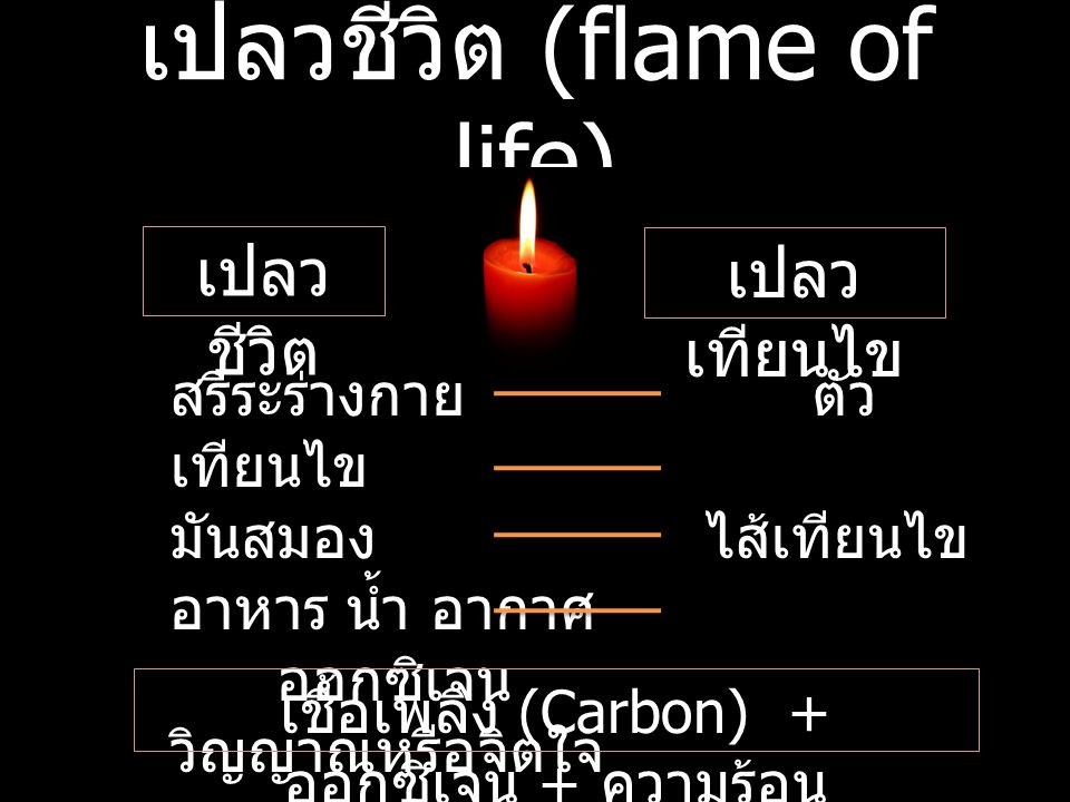 เปลวชีวิต (flame of life)