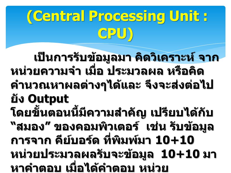(Central Processing Unit : CPU)
