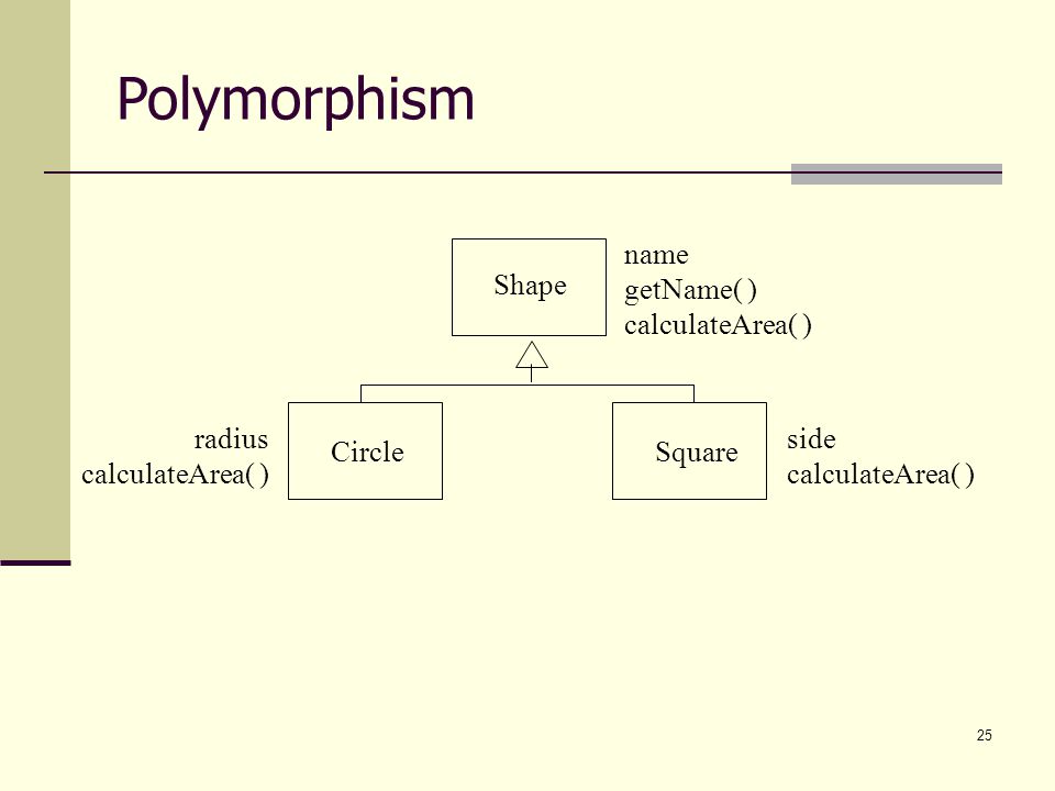 Polymorphism Shape Square Circle name getName( ) calculateArea( ) side
