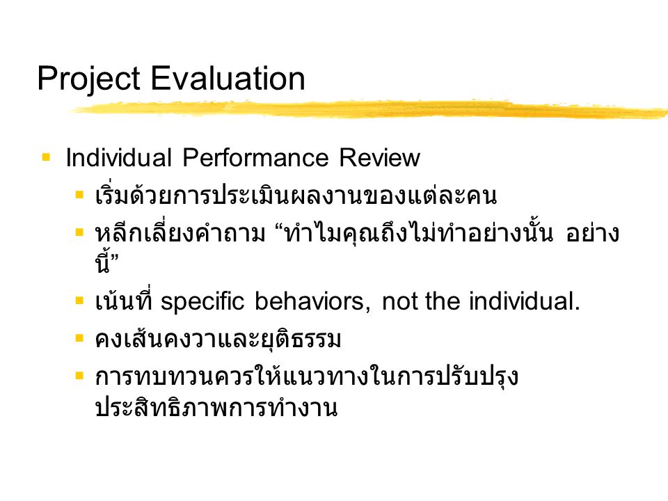 Project Evaluation Individual Performance Review