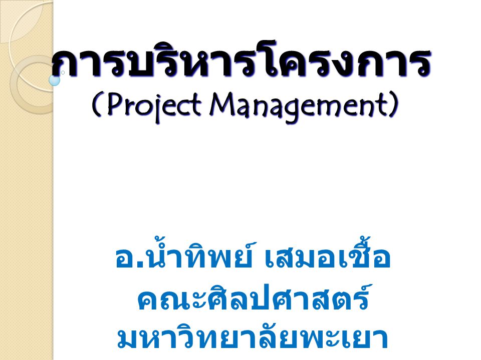 การบริหารโครงการ (Project Management)